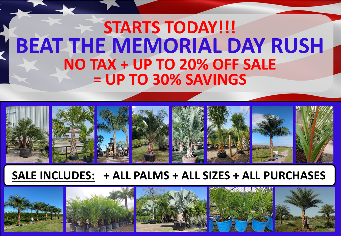 Memorial Sale